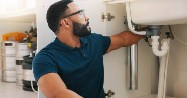 Best Plumbing System Maintenance  in Limestone Creek, FL